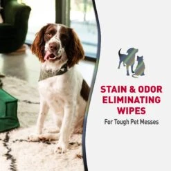 Nature's Miracle Advanced Hard Surfaces Stain & Odor Eliminator Wipes, 30 Count -Furry Friends 716550 PT5. AC SS1800 V1669679894