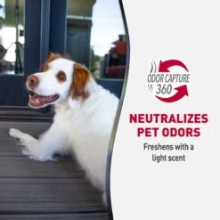 Nature's Miracle Advanced Hard Surfaces Stain & Odor Eliminator Wipes, 30 Count -Furry Friends 716550 PT6. AC SS1800 V1669680649