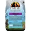 Wysong Nurture Kitten Formula Dry Cat Food -Furry Friends 71714 MAIN. AC SS1800 V1614643589