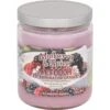 Pet Odor Exterminator Mulberry & Spice Deodorizing Candle 1 Pet Odor Exterminator Mulberry & Spice Deodorizing Candle -Furry Friends 71898 MAIN. AC SS1800 V1628688077
