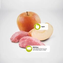 Farmina Natural & Delicious Wild Boar Grain-Free Formula Dry Cat Food -Furry Friends 72013 PT4. AC SS1800 V1460753250