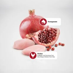 Farmina Natural & Delicious Chicken Grain-Free Formula Dry Cat Food -Furry Friends 72015 PT4. AC SS1800 V1489367656