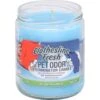 Pet Odor Exterminator Clothesline Fresh Deodorizing Candle -Furry Friends 72117 MAIN. AC SS1800 V1697212792