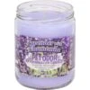 Pet Odor Exterminator Lavender & Chamomile Deodorizing Candle -Furry Friends 72118 MAIN. AC SS1800 V1697212824
