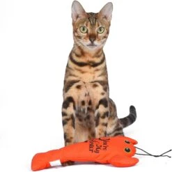 Fetch For Pets Friends You're My Lobster Kicker Plush Cat Toy With Catnip -Furry Friends 729182 PT3. AC SS1800 V1682608378