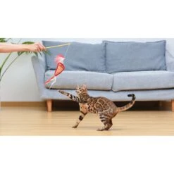 Fetch For Pets Friends Joey Loves Food Wand Cat Toy With Catnip -Furry Friends 729214 PT4. AC SS1800 V1682628495