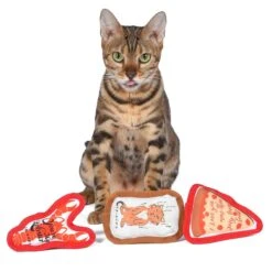 Fetch For Pets Friends Pizza, Cat, Lobster Canvas Toy Plush Cat Toy With Catnip, 3 Count -Furry Friends 729230 PT3. AC SS1800 V1682609331