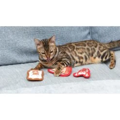 Fetch For Pets Friends Pizza, Cat, Lobster Canvas Toy Plush Cat Toy With Catnip, 3 Count -Furry Friends 729230 PT4. AC SS1800 V1682609303