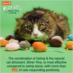 Hartz Cattraction Crinkle Mice Cat Toy, Multi Color, 10 Count -Furry Friends 731710 PT2. AC SS1800 V1676317773