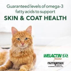 Nutramax Welactin Omega-3 Fish Oil Liquid Skin & Coat Supplement For Cats, 4-oz -Furry Friends 73555 PT3. AC SS1800 V1668631783