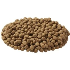 Wysong Fundamentals Dry Dog & Cat Food -Furry Friends 73639 PT2. AC SS1800 V1535490124