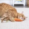 SmartyKat Crazy Carrot Flexible Bat & Chase Cat Toy -Furry Friends 736862 MAIN. AC SS1800 V1698092832