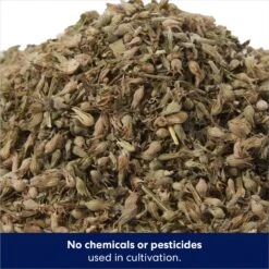 Frisco Natural Catnip & Hartz Cattraction Silver Vine & Catnip Gator Cat Scratcher Toy, Color Varies -Furry Friends 737470 PT3. AC SS1800 V1683212146