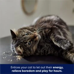 Frisco Natural Catnip & Hartz Cattraction Silver Vine & Catnip Gator Cat Scratcher Toy, Color Varies -Furry Friends 737470 PT4. AC SS1800 V1683212147