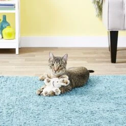 KONG Softies Fuzzy Bunny Cat Toy, Color Varies -Furry Friends 73763 PT1. AC SS1800 V1545172968