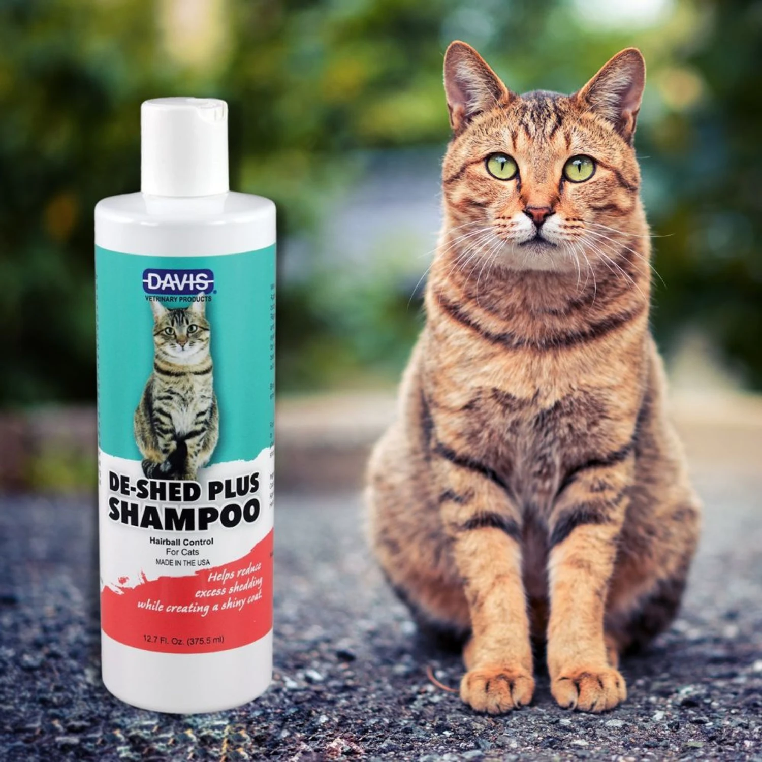 Davis DeShed Plus Shampoo For Cats, 12-oz Bottle 4 Davis DeShed Plus Shampoo For Cats, 12-oz Bottle - Image 2
