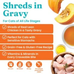 Solid Gold Nature's Harmony Chicken & Pumpkin Recipe In Gravy Grain-Free Wet Cat Food, 2.8-oz Can, 24 Count -Furry Friends 739158 PT1. AC SS1800 V1670941865
