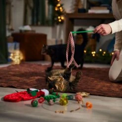 Frisco Holiday Cozy Christmas Sack Variety Pack Cat Toy With Catnip -Furry Friends 740054 PT3. AC SS1800 V1694812461