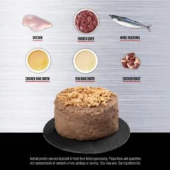 ORIJEN Original Entree In Bone Broth Wet Cat Food -Furry Friends 741382 PT3. AC SS1800 V1681756802