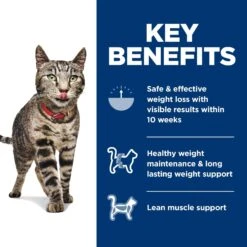 Hill's Science Diet Adult Perfect Weight Chicken Recipe Dry Cat Food 16 Hill's Science Diet Adult Perfect Weight Chicken Recipe Dry Cat Food -Furry Friends 74244 PT5. AC SS1800 V1639792292