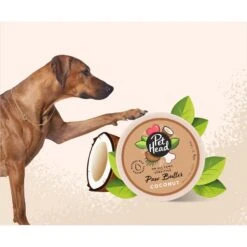Pet Head On All Paws Coconut Cat & Dog Paw Butter Soothes & Nourishes Paws & Noses, 1.4-oz Jar -Furry Friends 750302 PT2. AC SS1800 V1675107000