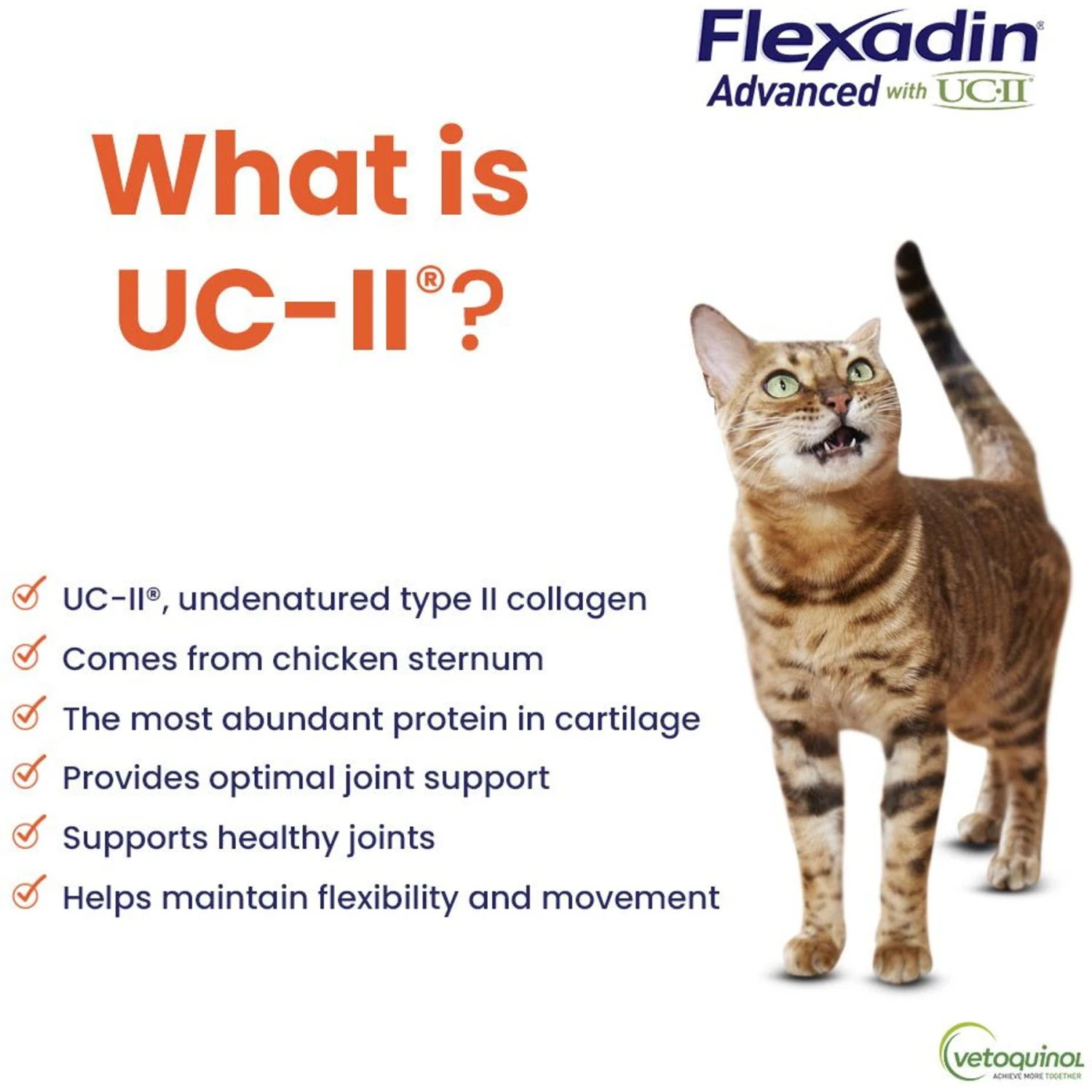 Vetoquinol Flexadin With UCII Cat Supplement, 1.59-oz Bag, 30 Count 6 Vetoquinol Flexadin With UCII Cat Supplement, 1.59-oz Bag, 30 Count - Image 4