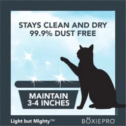 Boxiecat Air Lightweight Deep Clean Probiotic Unscented Clumping Cat Litter 13 Boxiecat Air Lightweight Deep Clean Probiotic Unscented Clumping Cat Litter -Furry Friends 751902 PT5. AC SS1800 V1673466932