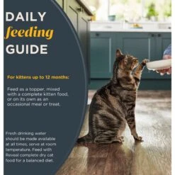 Reveal Natural Limited Ingredient Grain-Free Tuna Fillet In Broth Wet Kitten Food, 2.47-oz, Case Of 12 14 Reveal Natural Limited Ingredient Grain-Free Tuna Fillet In Broth Wet Kitten Food, 2.47-oz, Case Of 12 -Furry Friends 752494 PT5. AC SS1800 V1673648066