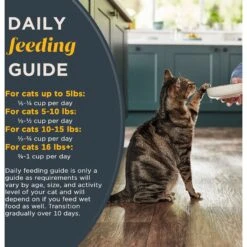 Reveal Natural Complete & Balanced Grain-Free Whitefish Recipe Dry Cat Food, 3-lb Bag -Furry Friends 752590 PT5. AC SS1800 V1673648125