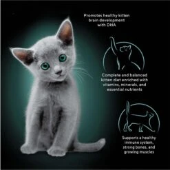 Sheba Perfect Portions Kitten Variety Pack Chicken Pate & Pate Salmon Wet Cat Food 13 Sheba Perfect Portions Kitten Variety Pack Chicken Pate & Pate Salmon Wet Cat Food -Furry Friends 752950 PT2. AC SS1800 V1672851292