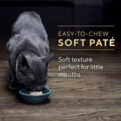 Sheba Perfect Portions Kitten Variety Pack Chicken Pate & Pate Salmon Wet Cat Food 19 Sheba Perfect Portions Kitten Variety Pack Chicken Pate & Pate Salmon Wet Cat Food -Furry Friends 752950 PT8. AC SS1800 V1672843191