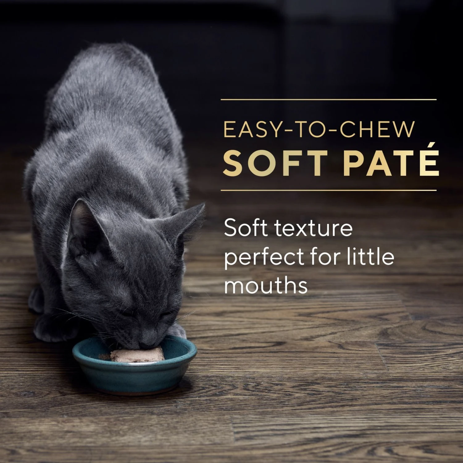 Sheba Perfect Portions Kitten Variety Pack Chicken Pate & Pate Salmon Wet Cat Food 11 Sheba Perfect Portions Kitten Variety Pack Chicken Pate & Pate Salmon Wet Cat Food - Image 9