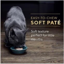Sheba Perfect Portions Kitten Salmon Soft Pate Wet Cat Food -Furry Friends 752966 PT7. AC SS1800 V1672851230