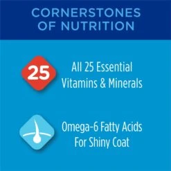 Cat Chow Complete High Protein Salmon Dry Cat Food -Furry Friends 754158 PT2. AC SS1800 V1673381474