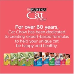 Cat Chow Complete High Protein Salmon Dry Cat Food -Furry Friends 754158 PT7. AC SS1800 V1673381444