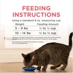 Cat Chow Complete High Protein Salmon Dry Cat Food -Furry Friends 754158 PT8. AC SS1800 V1673378845