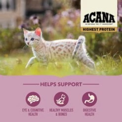 ACANA Highest Protein Grain-Free Dry Kitten Food, 4-lb Bag -Furry Friends 755518 PT4. AC SS1800 V1690998925