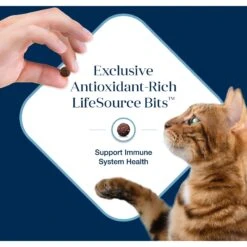 Blue Buffalo Basics Skin & Stomach Care Grain-Free Formula Fish & Potato Indoor Adult Dry Cat Food -Furry Friends 75581 PT6. AC SS1800 V1646251593