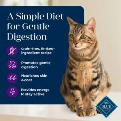 Blue Buffalo Basics Skin & Stomach Care Grain-Free Formula Turkey & Potato Indoor Mature Dry Cat Food -Furry Friends 75584 PT2. AC SS1800 V1646257591