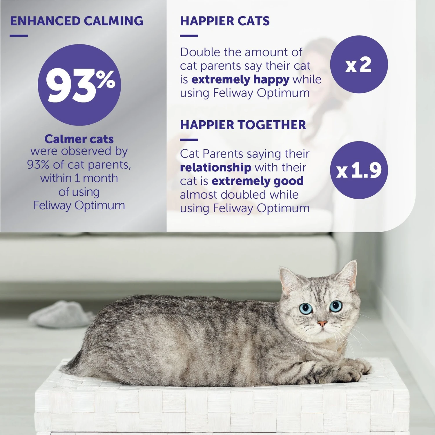 Feliway Optimum Cat Diffuser Refill, 3 Count 8 Feliway Optimum Cat Diffuser Refill, 3 Count - Image 6