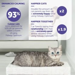 Feliway Optimum Cat Diffuser Refill, 6 Count -Furry Friends 755990 PT5. AC SS1800 V1685735512