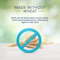 Blue Buffalo Freedom Indoor Kitten Chicken Recipe Grain-Free Canned Cat Food 12 Blue Buffalo Freedom Indoor Kitten Chicken Recipe Grain-Free Canned Cat Food -Furry Friends 75600 PT4. AC SS1800 V1585083429