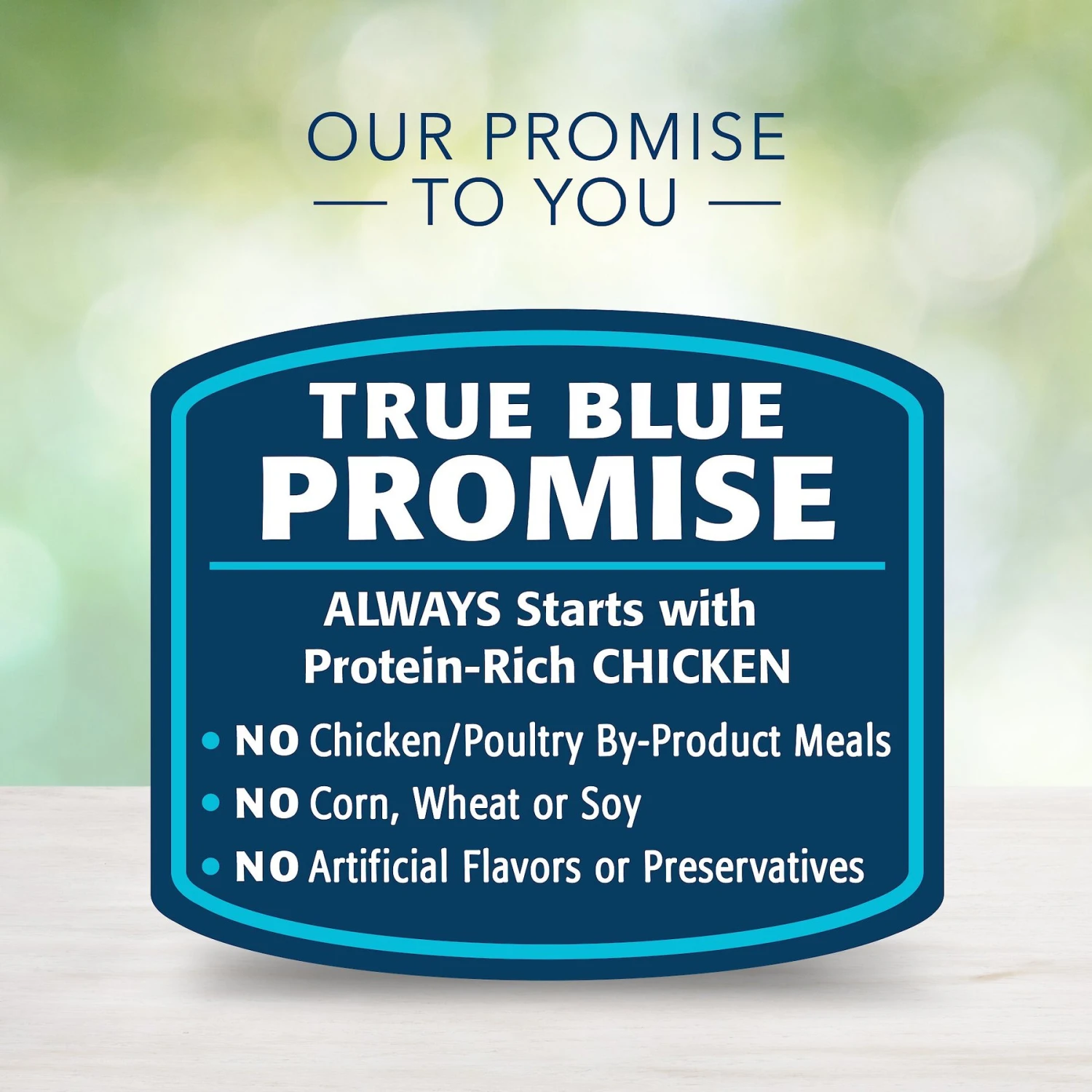 Blue Buffalo Freedom Indoor Kitten Chicken Recipe Grain-Free Canned Cat Food 8 Blue Buffalo Freedom Indoor Kitten Chicken Recipe Grain-Free Canned Cat Food - Image 6