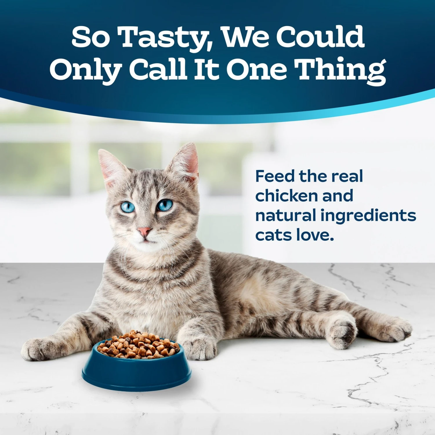 Blue Buffalo Tastefuls Hairball Control Natural Chicken & Brown Rice Recipe Adult Dry Cat Food 5 Blue Buffalo Tastefuls Hairball Control Natural Chicken & Brown Rice Recipe Adult Dry Cat Food - Image 3