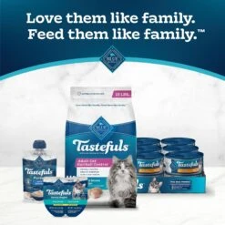 Blue Buffalo Tastefuls Hairball Control Natural Chicken & Brown Rice Recipe Adult Dry Cat Food 19 Blue Buffalo Tastefuls Hairball Control Natural Chicken & Brown Rice Recipe Adult Dry Cat Food -Furry Friends 75612 PT8. AC SS1800 V1692637609