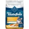 Blue Buffalo Tastefuls Weight Control Natural Chicken Adult Dry Cat Food 2 Blue Buffalo Tastefuls Weight Control Natural Chicken Adult Dry Cat Food -Furry Friends 75644 MAIN. AC SS1800 V1663697122
