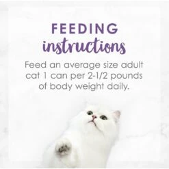 Fancy Feast Medleys Wild Salmon Florentine Canned Cat Food -Furry Friends 75886 PT7. AC SS1800 V1586526390