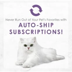 Fancy Feast Medleys Wild Salmon Florentine Canned Cat Food -Furry Friends 75886 PT8. AC SS1800 V1586526392