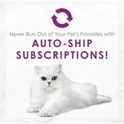 Fancy Feast Medleys White Meat Chicken Florentine Canned Cat Food -Furry Friends 75888 PT8. AC SS1800 V1659907879