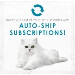 Fancy Feast Elegant Medleys Turkey Florentine Canned Cat Food 19 Fancy Feast Elegant Medleys Turkey Florentine Canned Cat Food -Furry Friends 75890 PT8. AC SS1800 V1659907877